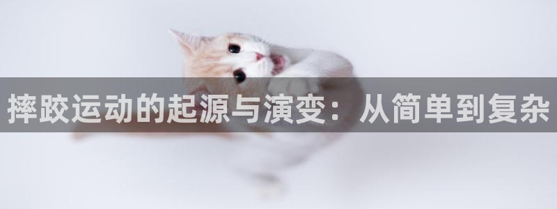 678体育app：摔跤运动的起源与演变：从简单到复杂