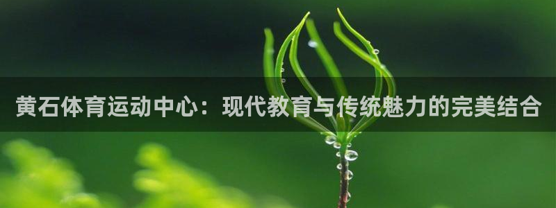 678体育官网下载：黄石体育运动中心：现代教育与传统魅力的完美结合