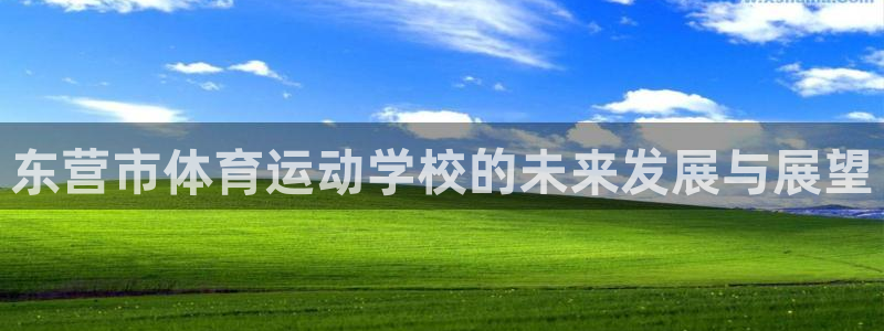 678体育知识：东营市体育运动学校的未来发展与展望