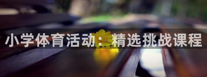 678体育官网：小学体育活动：精选挑战课程