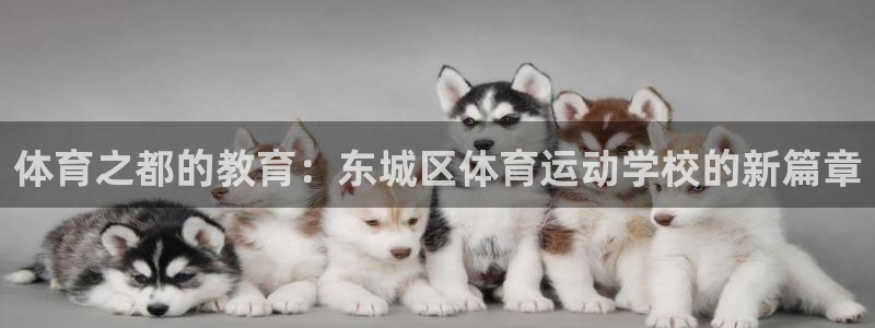 皇冠678体育：体育之都的教育：东城区体育运动学校的新篇章