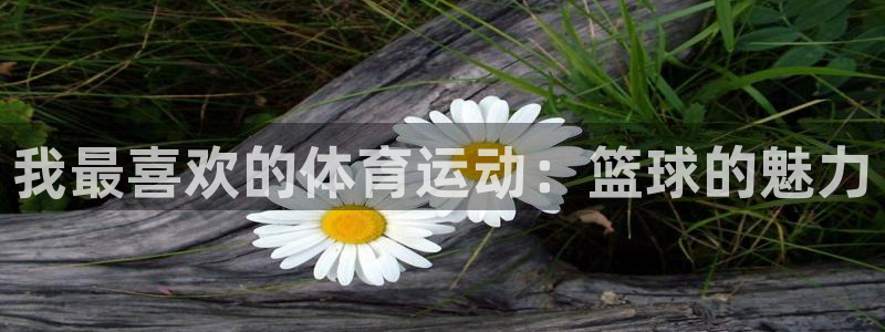 678体育官网下载：我最喜欢的体育运动：篮球的魅力