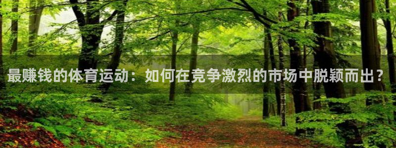 678体育官网地址：最赚钱的体育运动：如何在竞争激烈的市场中脱颖而出？