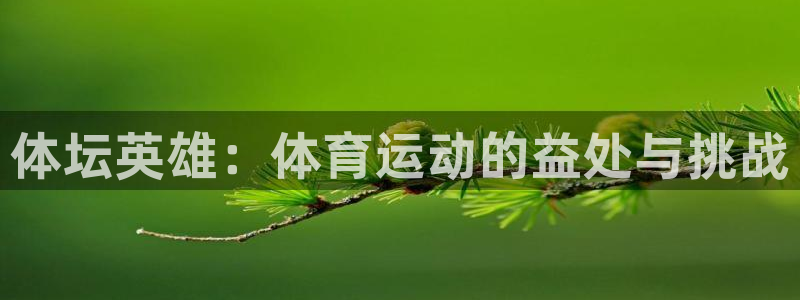 678体育：体坛英雄：体育运动的益处与挑战