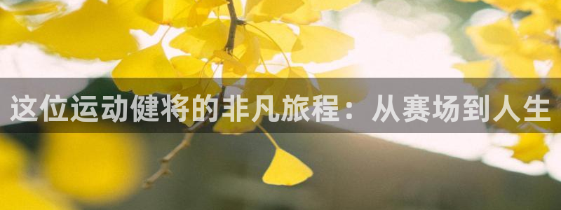 678体育app