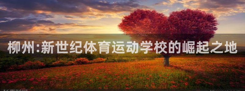 678体育官网下载：柳州:新世纪体育运动学校的崛起之地